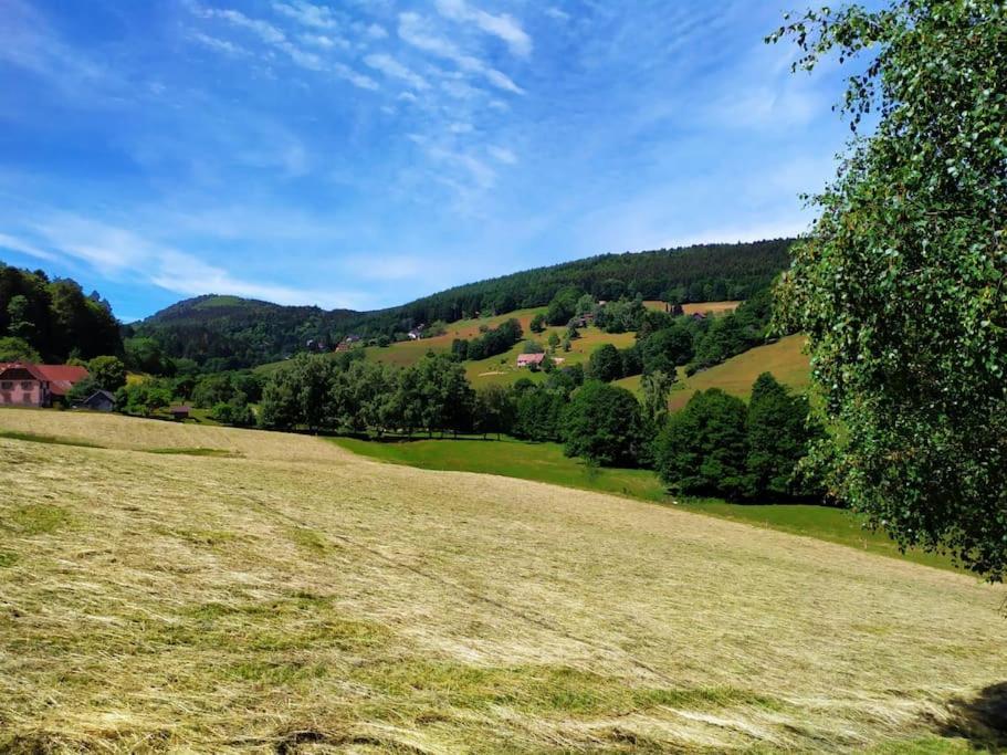 Meuble Classe 3 Etoiles Dans Ferme Du Xixe Restauree